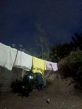 lapatronav2026 live XXX chat