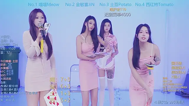 SSF-888's Webcam Show