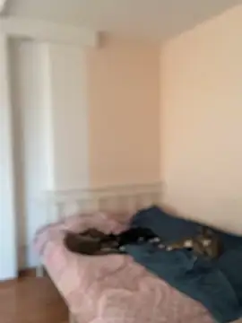 Nami_ninja: απευθείας  συνομιλία ΧΧΧ