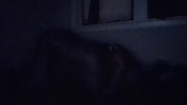 Chat XXX Live JezOne555