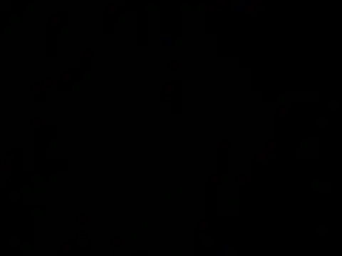 dust1n_ webkamerás műsora