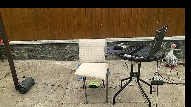 Vuittonのウェブカメラショー