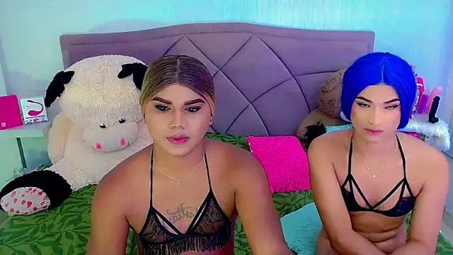 Вебкам-шоу party_duo_trans