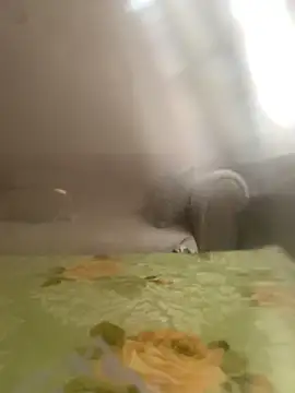 speddy34n Webbikameraesitys