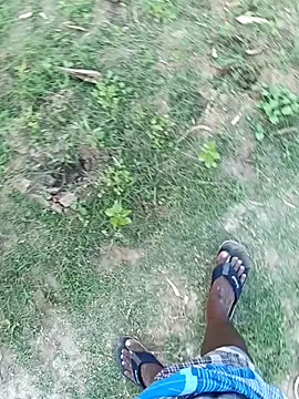 dolphiinn: διαδικτυακό σόου στην κάμερα