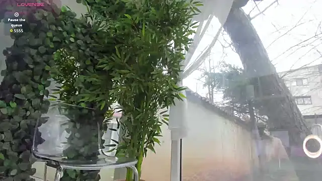 Chat +18 de Lexi_Storm ao vivo