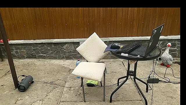 Вебкам-шоу Vuitton