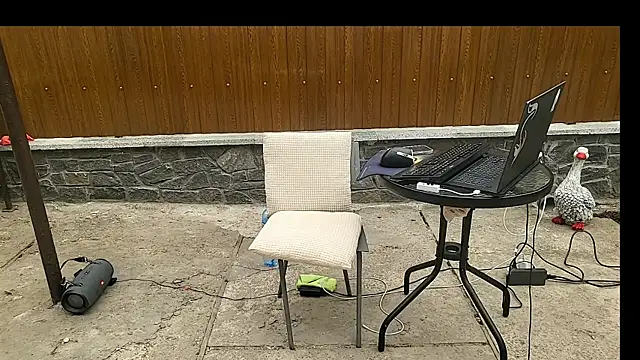 Show webcam de Vuitton