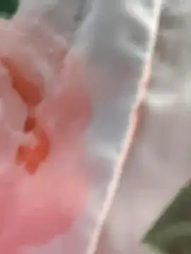 Ruhi_07 élő XXX-chatje