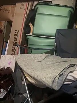 Show webcam de 11lanasevol