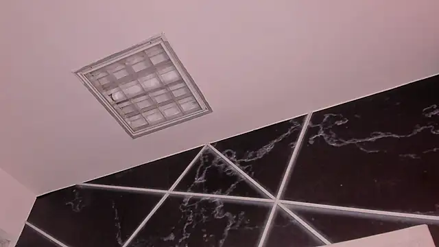 Chat XXX ao vivo de AerumChae