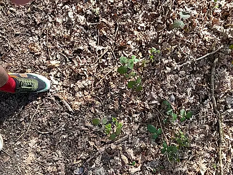 CloudyMuscleBeefy: απευθείας συνομιλία ΧΧΧ