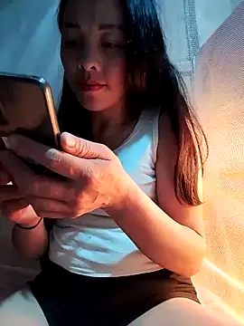 Sinejdk3 Show Webcam