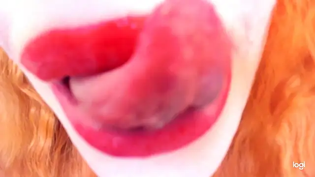 softlysoftlyasbeauty's Live XXX Chat