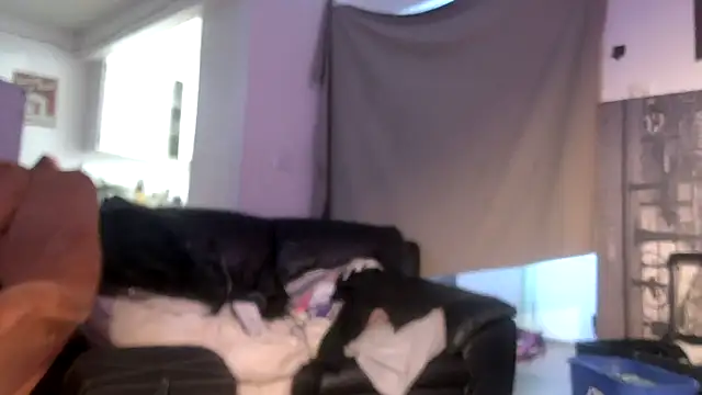 Show webcam de TheHellBilly