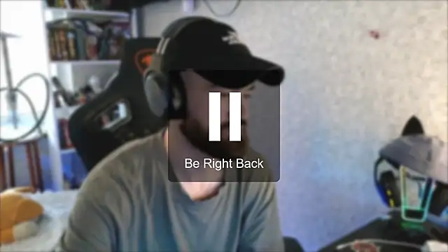 _Mostly_ Show Webcam