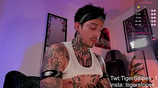 TigerStripes1_ Show Webcam