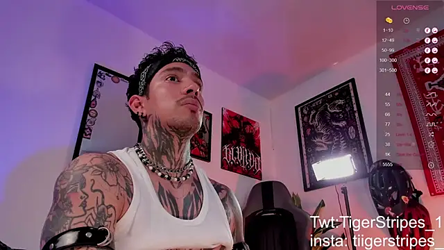 XXX chat uživo modela TigerStripes1_