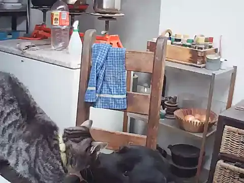 hornyhippies0080: онлайн-секс-чат