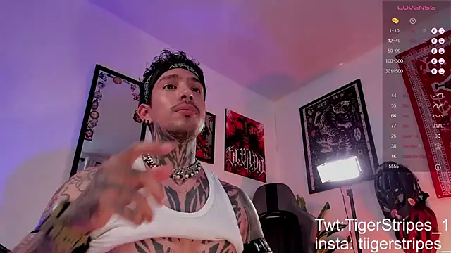 TigerStripes1_ 在線直播表演