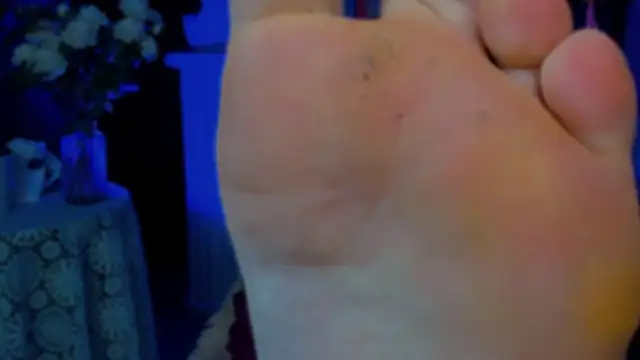 LidaDarknet – Live XXX-chat