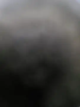 Lun4chuut's Webcam Show