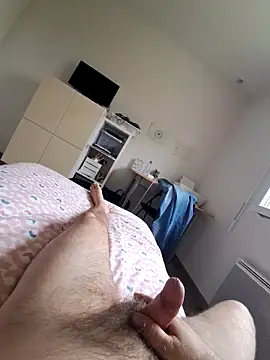 Show webcam de nico33000a