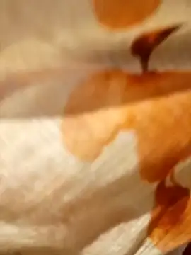 Poly_bhabi – Naživo XXX chat