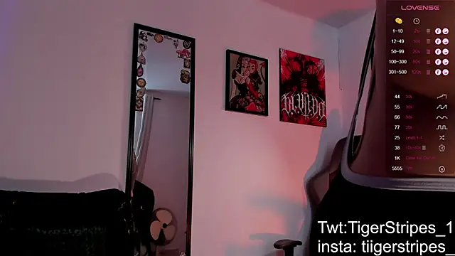 عرض كام TigerStripes1_