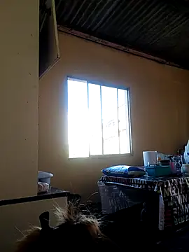 Živý XXX chat sabrinaneves