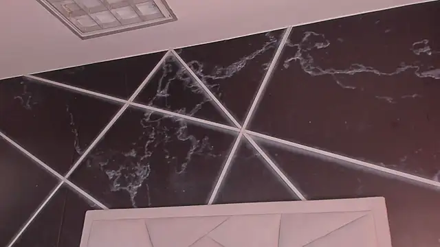 AerumChae Show Webcam