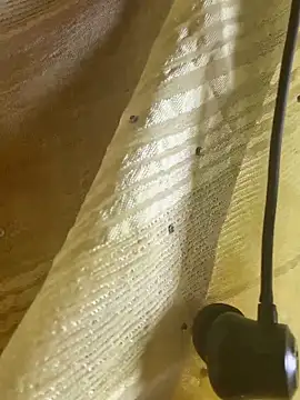 Hottywetsexyn Webbikameraesitys