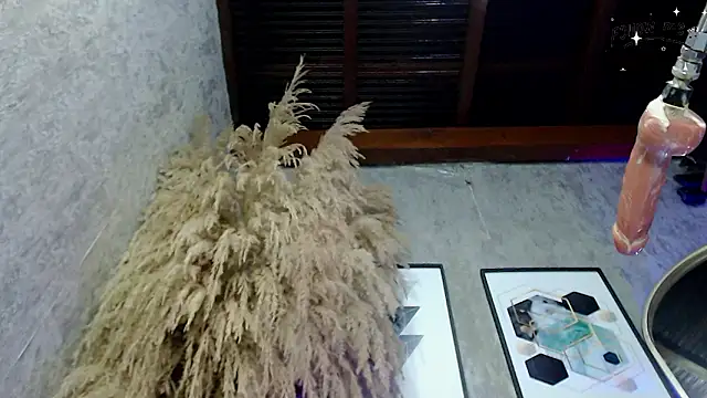 Show modela Lena_helleen na web-kameri