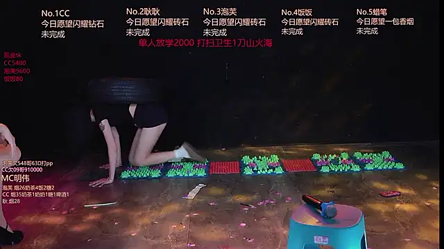 ZNZ-101 网络视讯表演