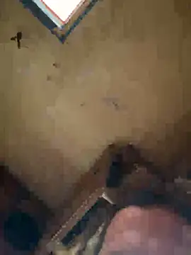 Show Webcam de Crackkers