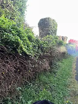 Lalla_Amani's Live XXX Chat