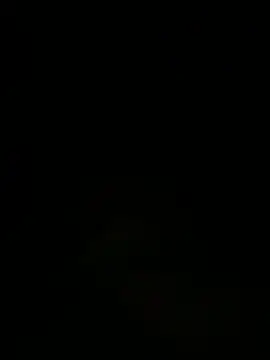 Show Webcam de tyd247