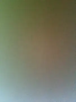 Chat XXX Live raposasexy724