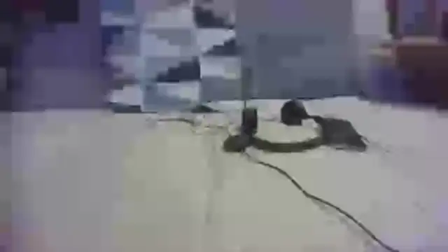 thicky_dicky_n Webcamshow