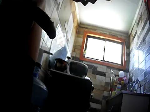 yamog4447 Show in webcam