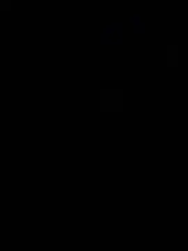 Show Webcam de Werknjerkn