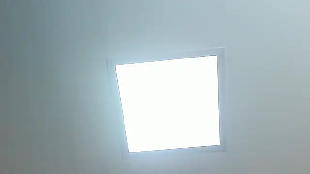 MAGIEVANS1 élő XXX-chatje