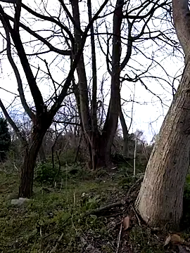 Вебкам-шоу Prince-sexy