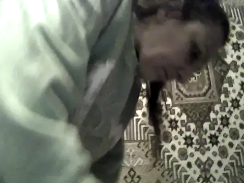 Živý XXX chat FayInessaKiss