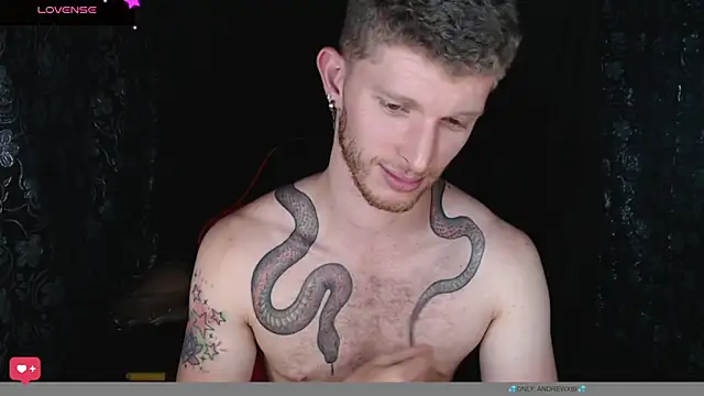 andrewxbi: διαδικτυακό σόου στην κάμερα