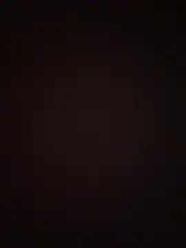 Show webcam de yfx468