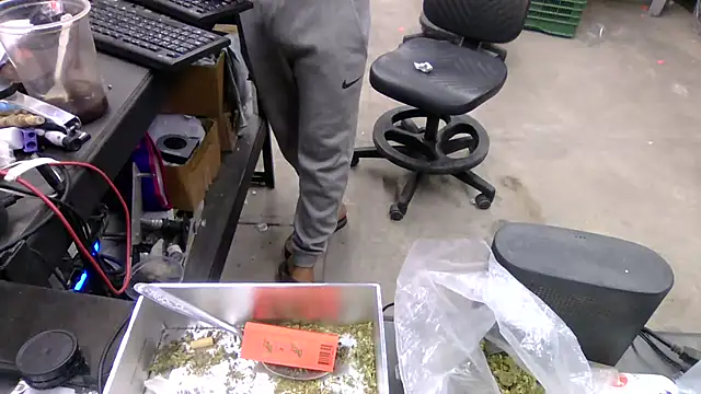 Czat XXX na żywo – BustedCall