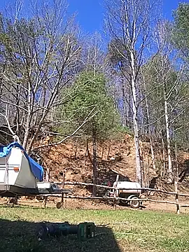 Biknight: вебкам-шоу