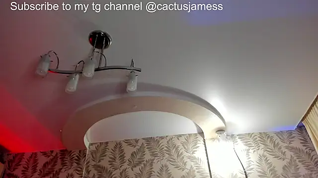 Cactus__Jamesのウェブカメラショー