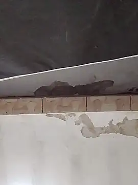 Pokazy przed kamerką – zuquimjogador